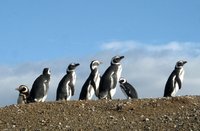 Travel blog thumbnail